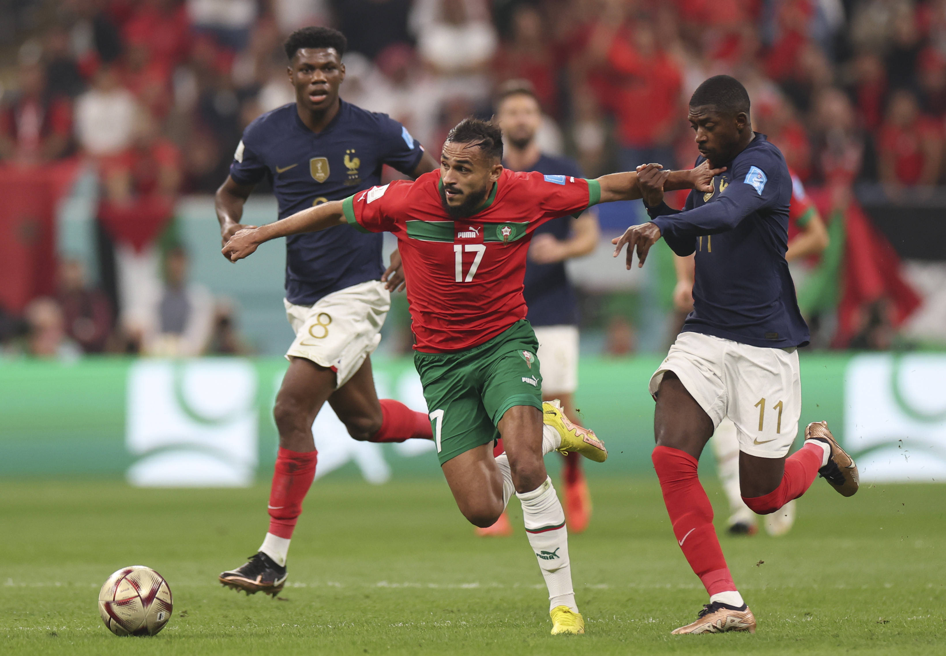 然暂时无法 然暂时无法